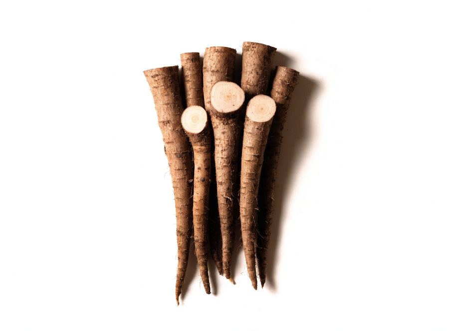 Burdock root