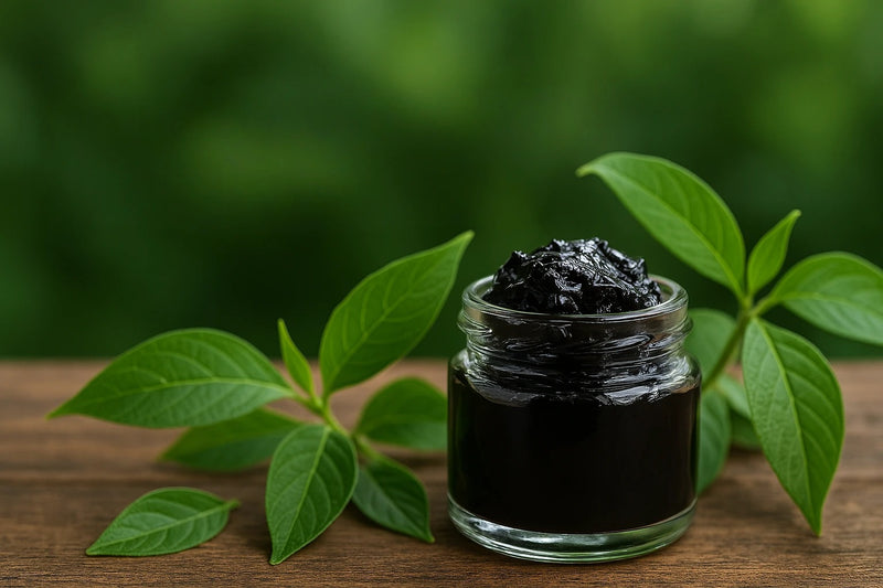 Shilajit with fresh green leaves