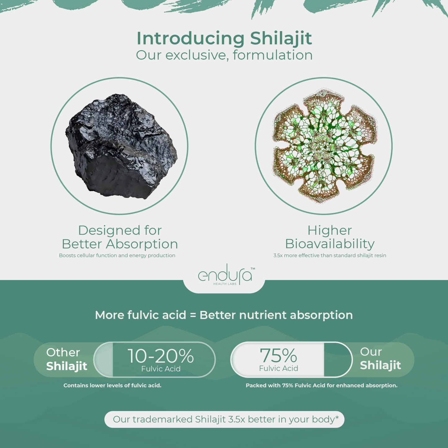 Endura Health Labs Shilajit  60 Gummies