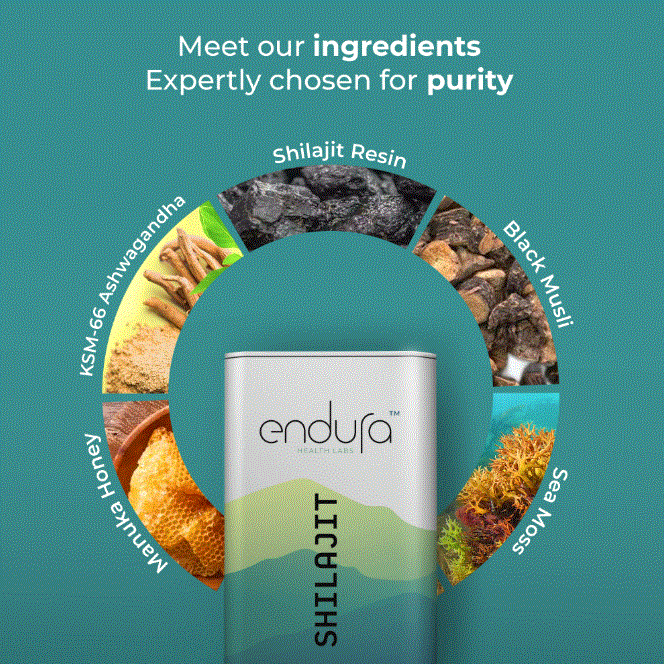 Endura Health Labs Shilajit  60 Gummies