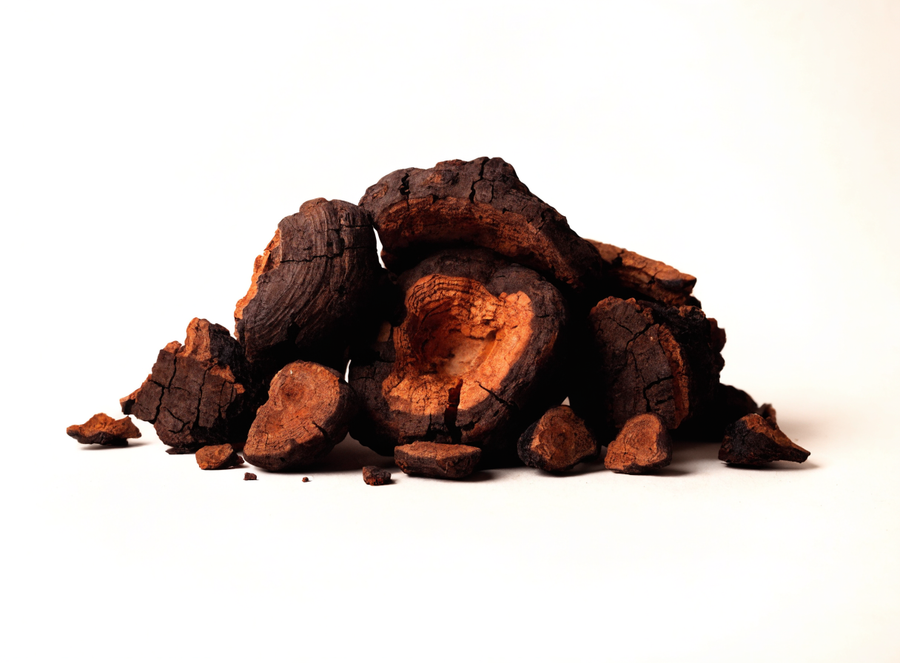 Chaga