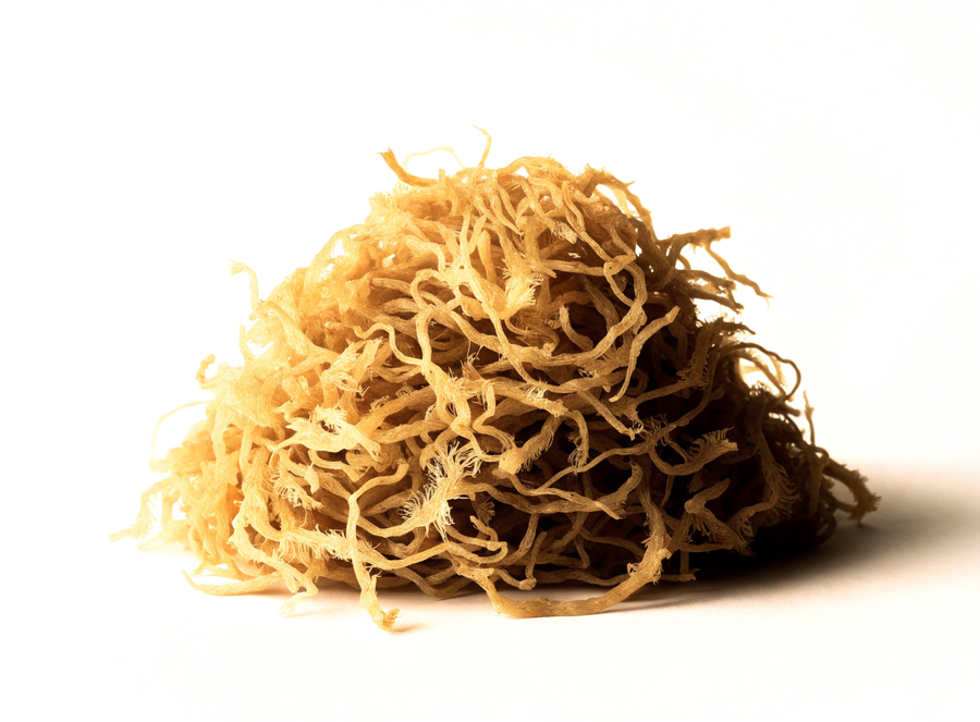 Sea moss