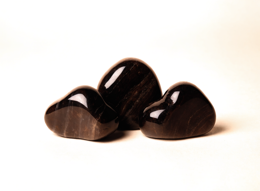 Shilajit extract (10:1)