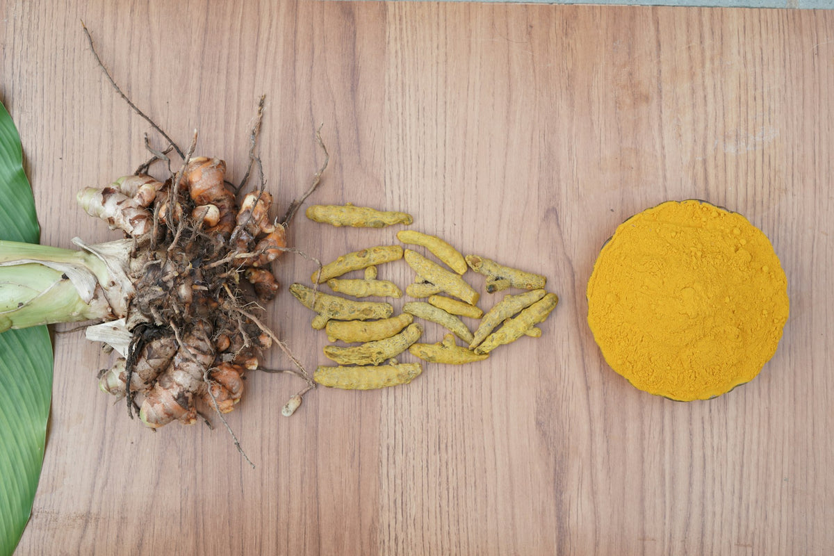Turmeric root, slices and powder