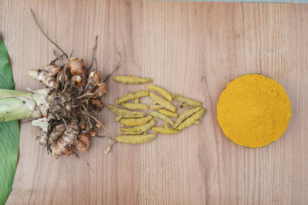 Turmeric root, slices and powder